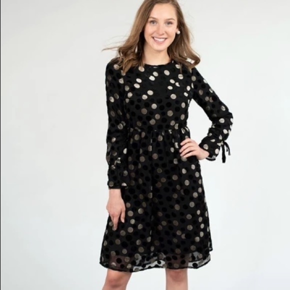 Apparalel Dresses & Skirts - Apparalel Textured Chiffon Dress in Velvet Dot
